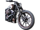 Harley Davidson FXSBSE [2013-2014] -Racing Frame Cover per modelli Softail-2