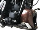 Harley Davidson FXSBSE [2013-2014] -Racing Frame Cover per modelli Softail-4