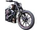 Harley Davidson FXSBSE [2013-2014] – Rennrahmenabdeckung für Softail Modelle-5
