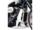 Harley Davidson FXBR [2023-2025] – Renn-Kühlerabdeckung für Softail Modelle-7