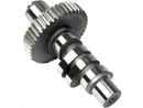 Modello di Harley Davidson FX [1985-1994] -543 Reaper Evo Cam albero per l'evoluzione-1