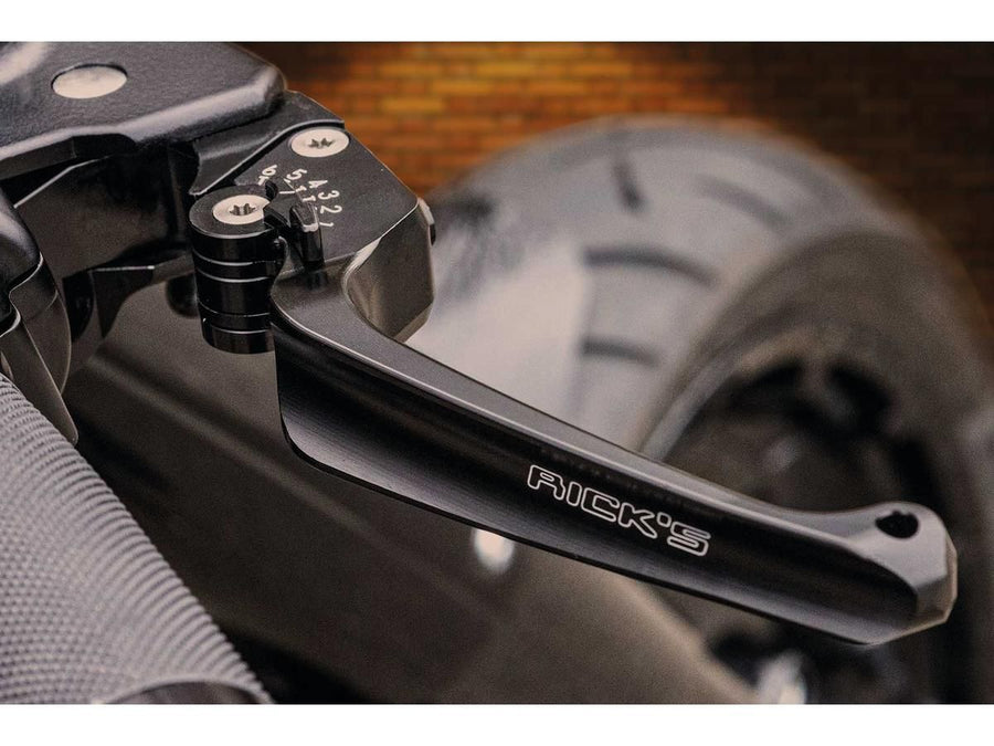 Harley Davidson Softail [2015-2017]- Bracciata classica regolabile e