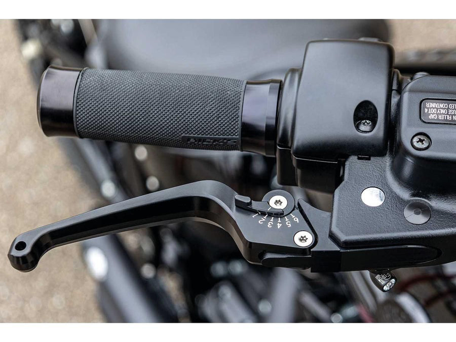 Harley Davidson Softail [2015-2017]- Bracciata classica regolabile e