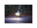 Harley Davidson- Dayron Tagfahr- und PositionSlicht Classic (caldo bianco)-2