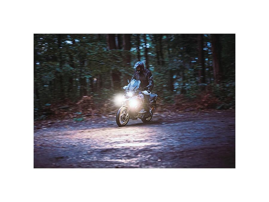 Harley Davidson- Dayron Tagfahr- und PositionSlicht Classic (caldo bianco)