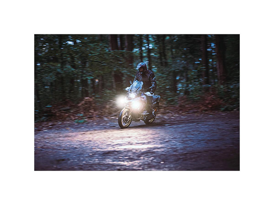 Harley Davidson- Dayron Tagfahr- und PositionSlicht Classic (caldo bianco)