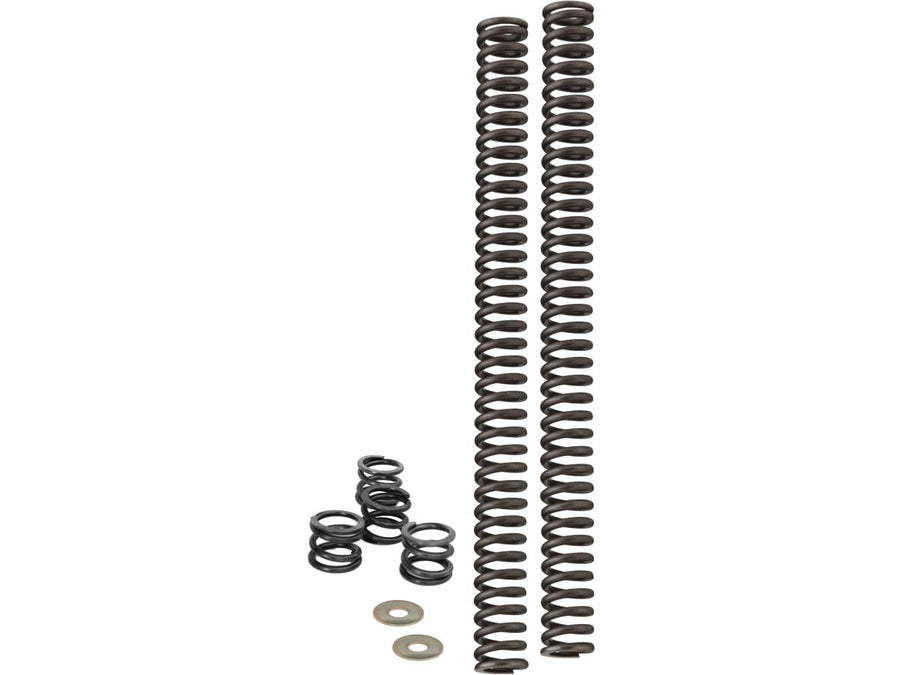 Harley Davidson Touring [2017-2023]-Linear rate of lowering springs kit for the