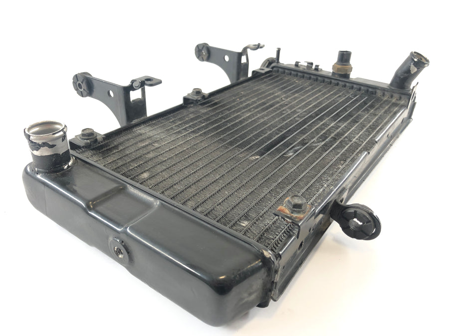 Suzuki DL 1000 V -STROM [2006] - Cooler Cool Water