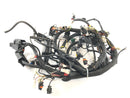 Aprilia RSV 1000 RR Factory [2009] - Kabelbaum-1