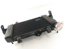 Yamaha YZF 125 RE06 [2011] - Cool Acqua Refrigeratore-2
