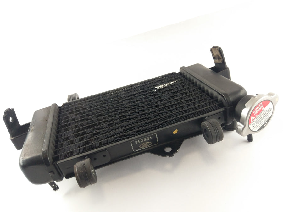 Yamaha YZF 125 RE06 [2011] - Cool Acqua Refrigeratore