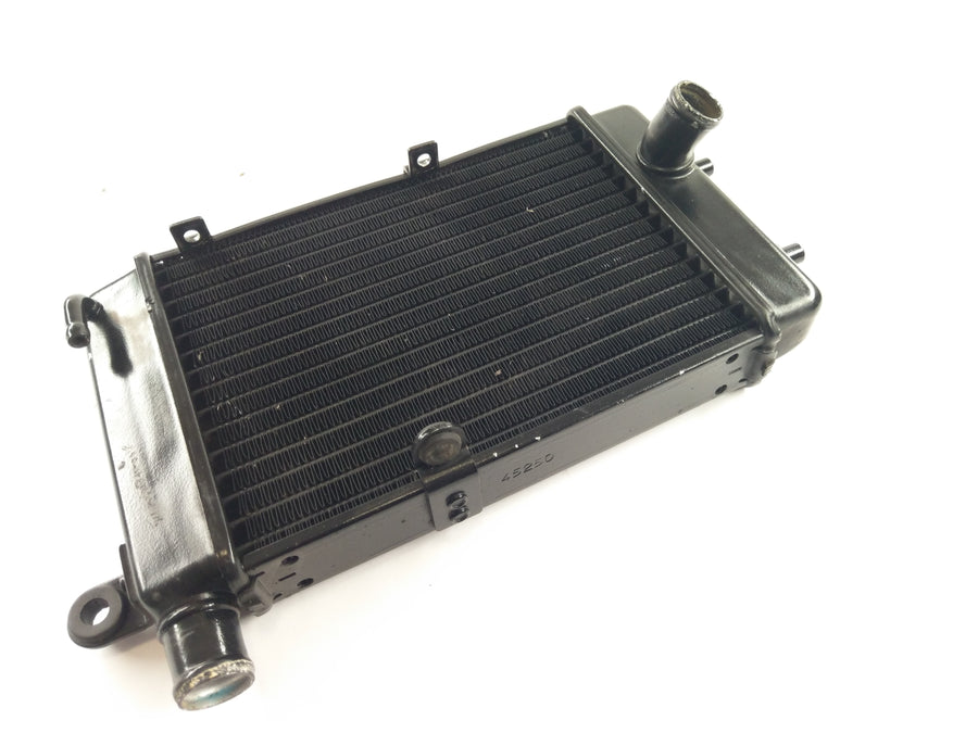 Aprilia RSV 1000 Tuono RP [2005] - Water Cooler Radiator