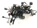 Husqvarna 701 Vitpilen [2018] - Wiring harness-2