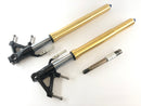Triumph Speed ​​Triple 1050 515NJ [2006] - Fork Telegabel con asse-1