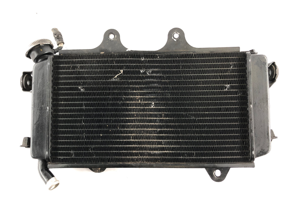 KTM Duke 390 [2014] - Water Cooler Radiator
