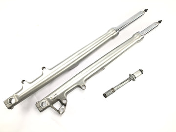 BMW R 1200 C 259C [1998] - Forcella anteriore Telelever con perno