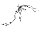 BMW K 1200 GT [2003] - set di linee ABS-1