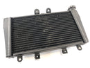 Triumph Speed ​​Triple 1050 515NJ [2006] - Cool Cooler Acqua-1