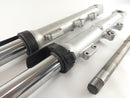 Triumph Sprint 955i RS T695 [2000] - Fork Telegabel con asse-5