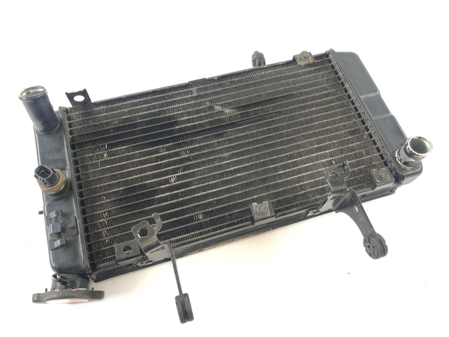 Suzuki DL 1000 V -STROM [2006] - Cooler Cool Water