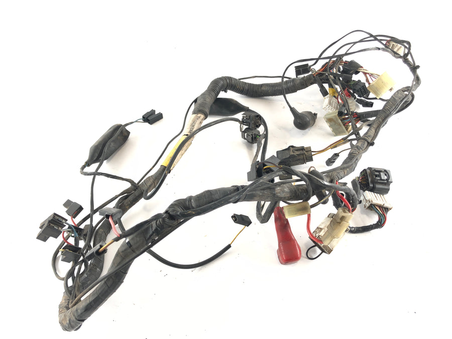 Triumph Thunderbird 900 RT T309 [1997] - Cablaggio