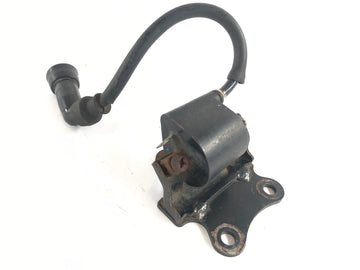 Suzuki Dr 800 S Big [1991] - Coil di accensione con candela