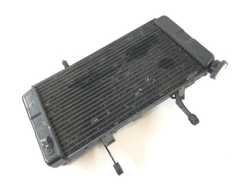Suzuki DL 1000 V -STROM [2006] - Cooler Cool Water - 0