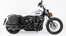 Harley-Davidson Softail Standard [2020-2025] -C-Bow Side Carrier-7
