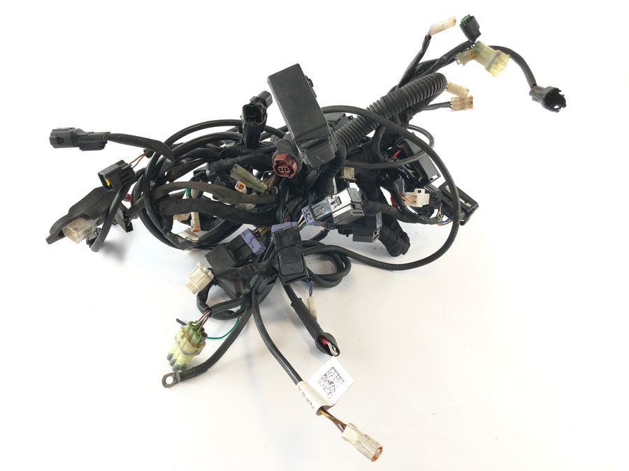 Husqvarna 701 Vitpilen [2018] - Wiring harness