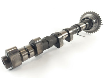 Benelli TNT 1130 Sport [2002] - Albero a camme di uscita dell'albero a camme