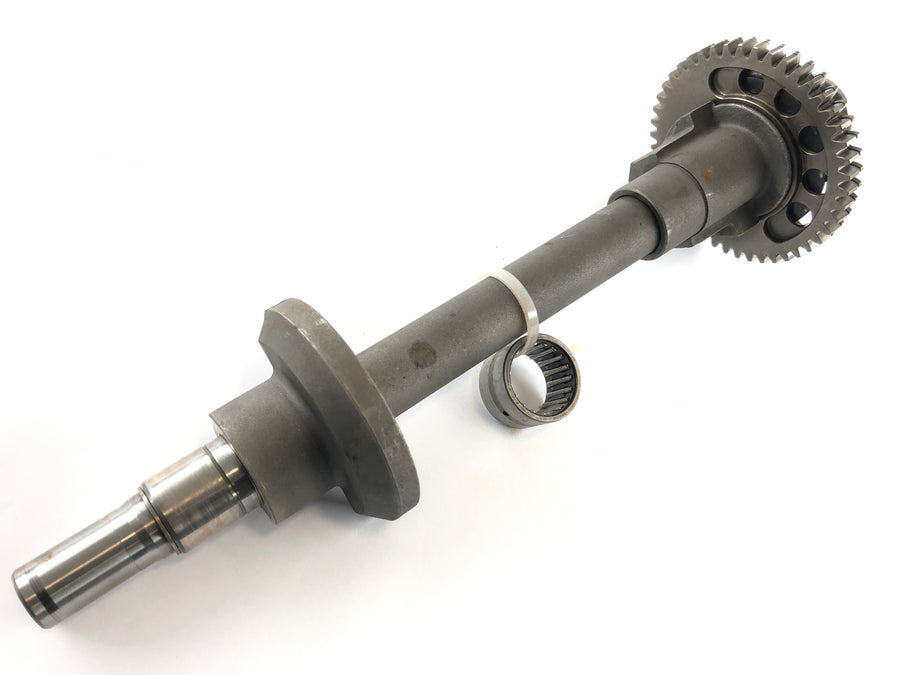 Triumph Daytona 955i T595 [2001] - balance shaft