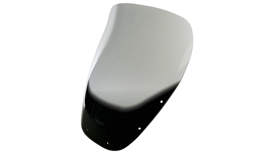 Yamaha XJ 900 S Diversion [1995-2003] -Touring Disc "TN"