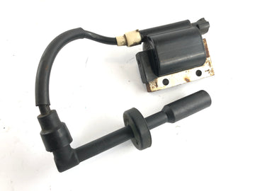 KTM Duke 390 [2014] - Ignition coil with plug - 0