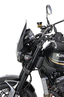 Kawasaki Z 900 RS [2018-]-Disc "NSP"-5