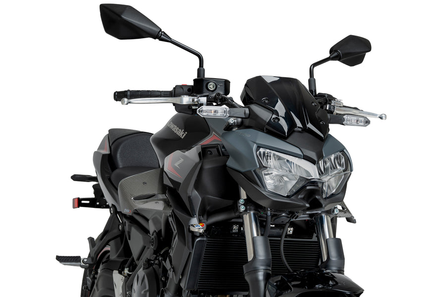 KAWASAKI Z 650 [2025] – D12 Spoiler – Mattschwarz