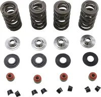 Harley-Davidson Xl 1200 Cx [2020] - Endurance Beehive® valve springs with titanium spring plates - picture 8