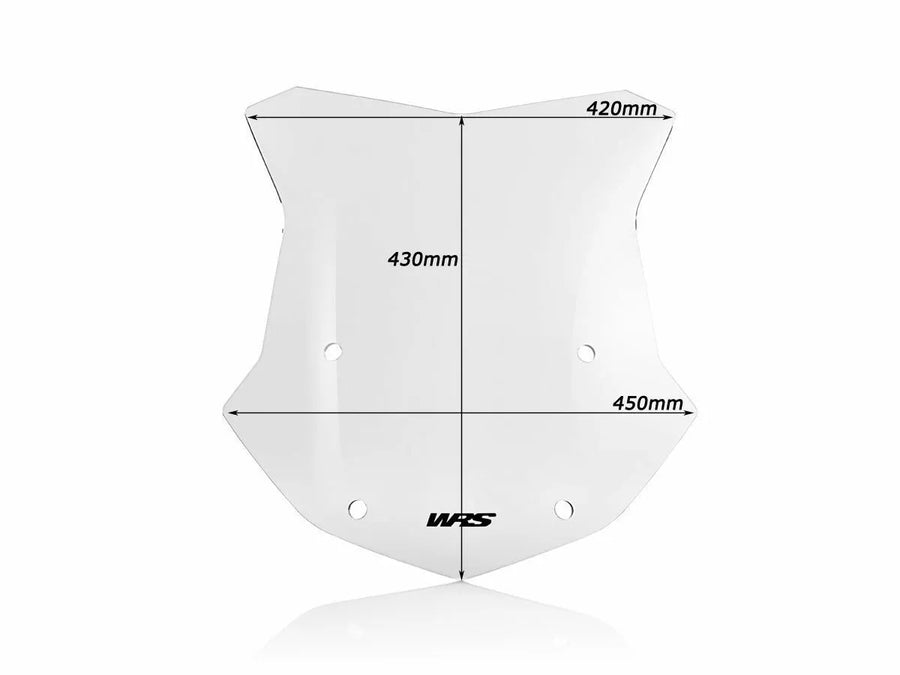 BMW R 1200 GS [WRS] – Windschild