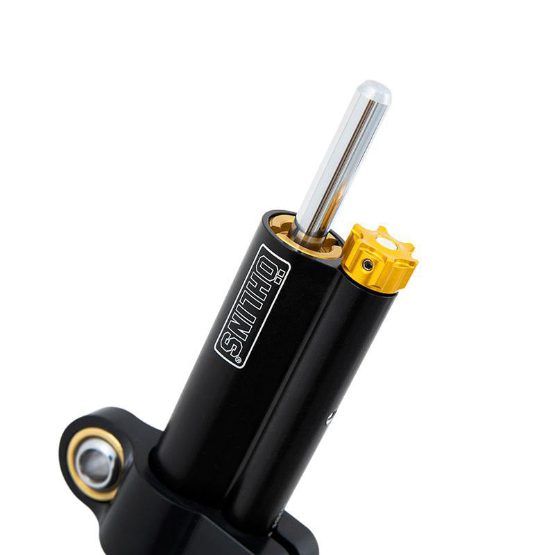 BMW R nineT 1200 Urban G/S (niedriger Auspuff) [2017-2023] - Dämpfer Linearlenkung Öhlins R NineT BlackLine