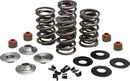 Harley-Davidson FLSTSE2 1800 Softail Convertible CVO [2011] - Endurance Beehive valve spring set for Screamin' Eagle heads - picture 9