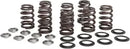 Harley-Davidson Fxlrs 1923 ABS [2026] - High Load Beehive® Federnsatz – Bild 8