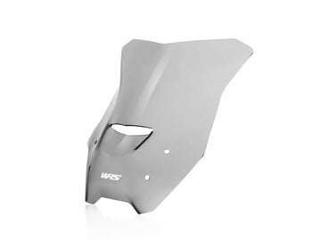 BMW R 1200 R [WRS] - parabrezza