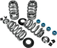 Harley-Davidson XR 1200 [2008-2010] - Molle valvole Endurance Beehive® con piastre molla in titanio - immagine 3