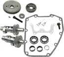 Harley-Davidson FXSBSE 1800 Breakout CVO [2013] - 583 Easy Start Nockenwellen-Kit – Bild 8