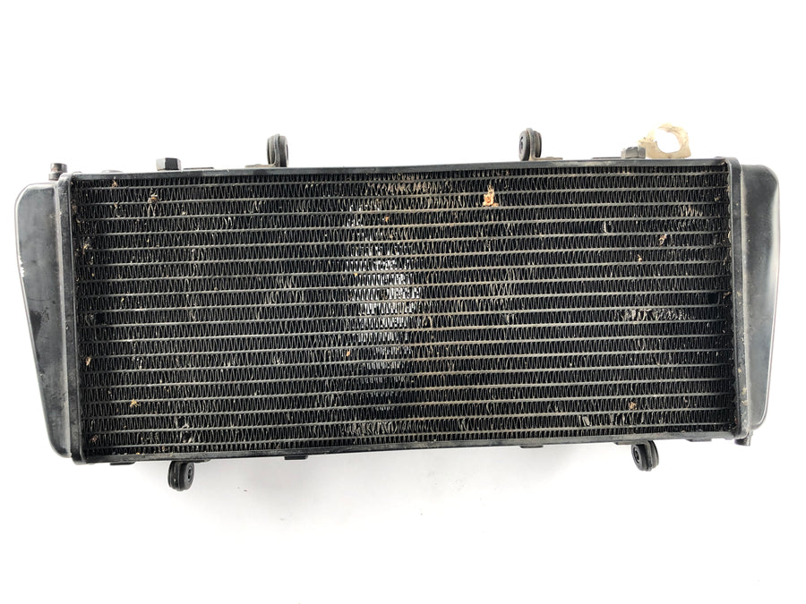 Aprilia RSV 1000 RR Factory [2009] - Radiator Water Cooler