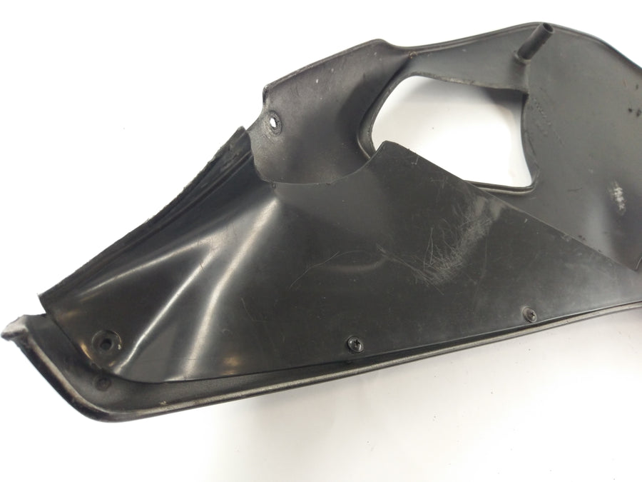 Aprilia RS 250 [1998] - Side panel front right