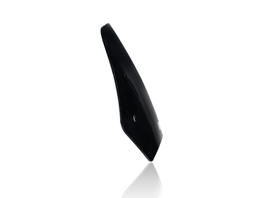 Benelli Leoncino 500 [WRS] - parabrezza
