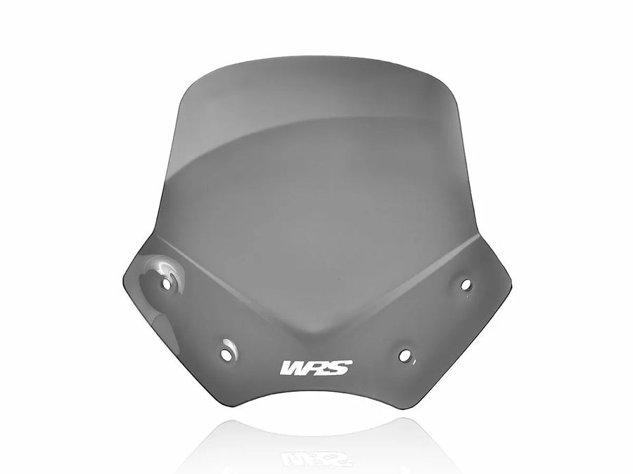BMW R 1200 R [WRS] - parabrezza