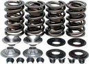 Harley-Davidson Xl 1200 Cx [2020] - Endurance Beehive® valve springs with titanium spring plates - picture 9