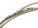 Moto Guzzi Stelvio 1200 8V [2016] - Steel braided clutch line-3