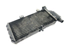 BMW F 650 GS R13 [2000] - Kühler Wasserkühler Motorkühler Kühlradiator-3